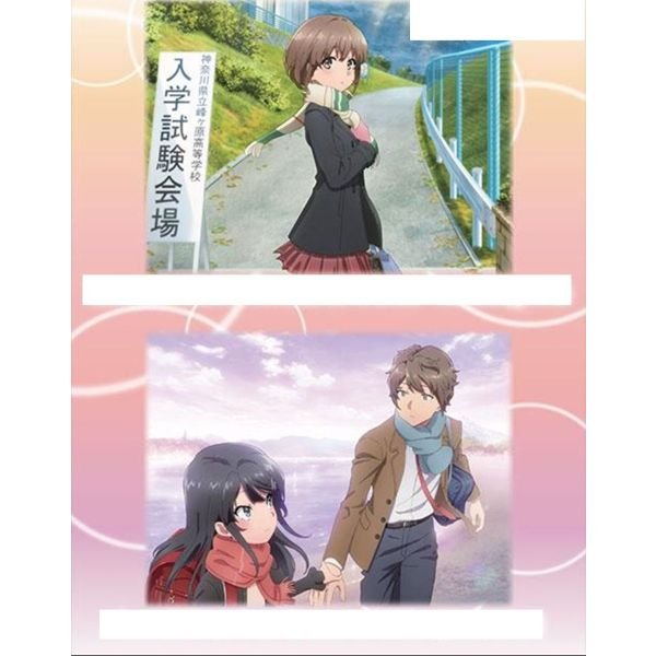 Rascal Does Not Dream Weiß Schwarz English Edition Booster Pack